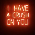 orange i have a crush on you neon light signage